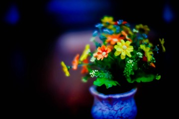 DSC03072-2