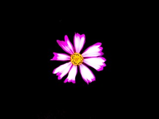 AB3F3009-9829-425E-ACDB-52EB76A7985F/L0/001