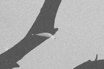 372CB51E-ABFF-43B0-8B60-DCFB9FE809C2/L0/001