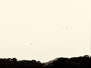 97273C16-E671-41DC-984B-1C912F364660/L0/001