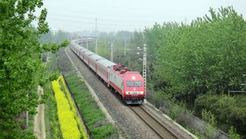 DSC03458.jpg