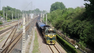 DSC03587.jpg