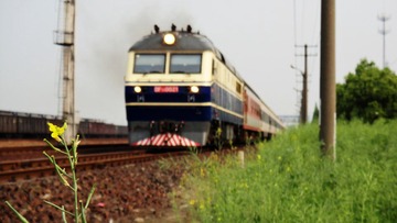 DSC03936.jpg