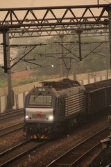 IMG_2056.jpg
