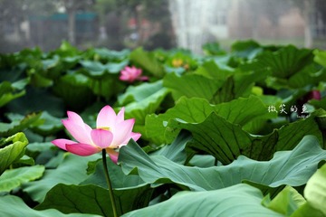 IMG_3413.jpg