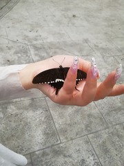 511082