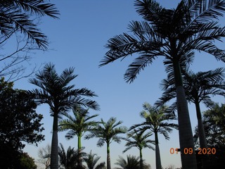 448B0F49-5C13-4B60-92E4-45FC106C6360/L0/001