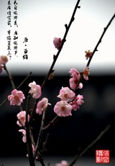 DSC_7090.jpg