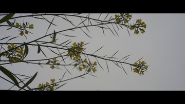 1000476843