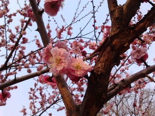 2012-03-13 16.18.20.jpg