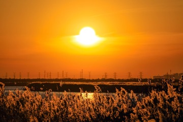 EF73F9CA-8B90-4F02-94A3-21E682C08D24/L0/001