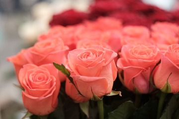 01F2F389-A790-48F1-836F-71A3B27A1907/L0/001