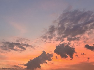 C14A3E07-74CF-4BDF-B9F6-BD980B149DD7/L0/001