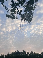 931001BC-E96F-4BDF-B6A2-958D47C8BF6F/L0/001