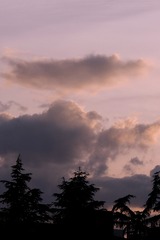 074737BF-8527-4962-BA92-82F84CB4F33B/L0/001