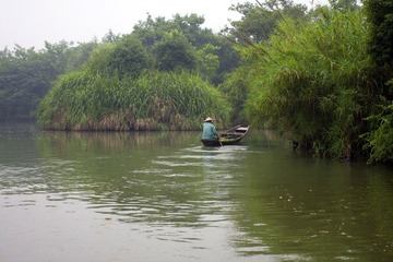 西溪湿地