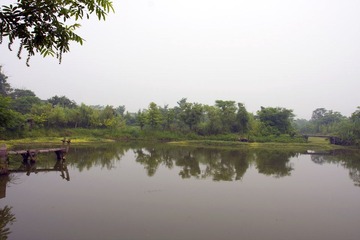 西溪湿地