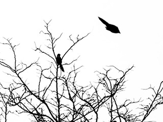 BC7CE092-84C0-43AE-952E-150EEBB1C4A2/L0/001