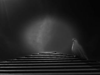001