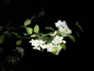2FDCC7AE-CB67-4E41-8F66-D79B4651AB58/L0/001