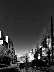 C865803C-BE2A-4E52-93F8-A2382E044B4A/L0/001