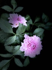 E6BE2BF9-72BD-4B1D-8F40-4A62C7D24948/L0/001