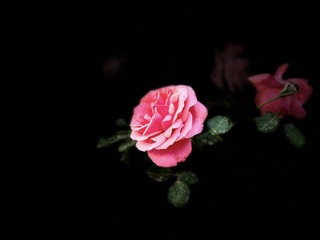 EB21A093-9740-4EAF-BC04-E4FFD819EBCF/L0/001