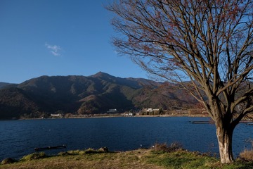 95DE3AA1-C273-4E13-887C-5854D4F1F576/L0/001