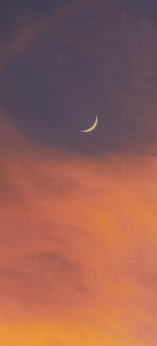 一轮弯月伴彩云