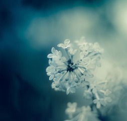 5622724732_e953de7631_b.jpg