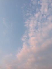 AE8A5A80-8846-4B8D-8AF4-21C687F4CB8F/L0/001
