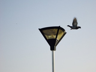FA6F4789-561E-4DD1-83DB-6E4B7FA756C5/L0/001
