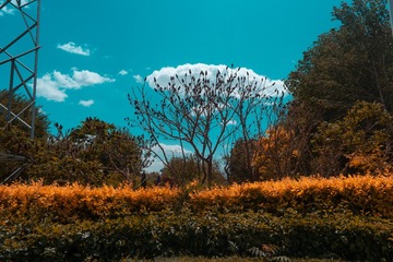 1000023203