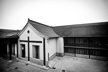 IMG_8173.jpg