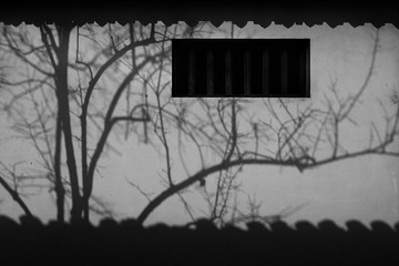“_1230104”为智能对象-1.jpg