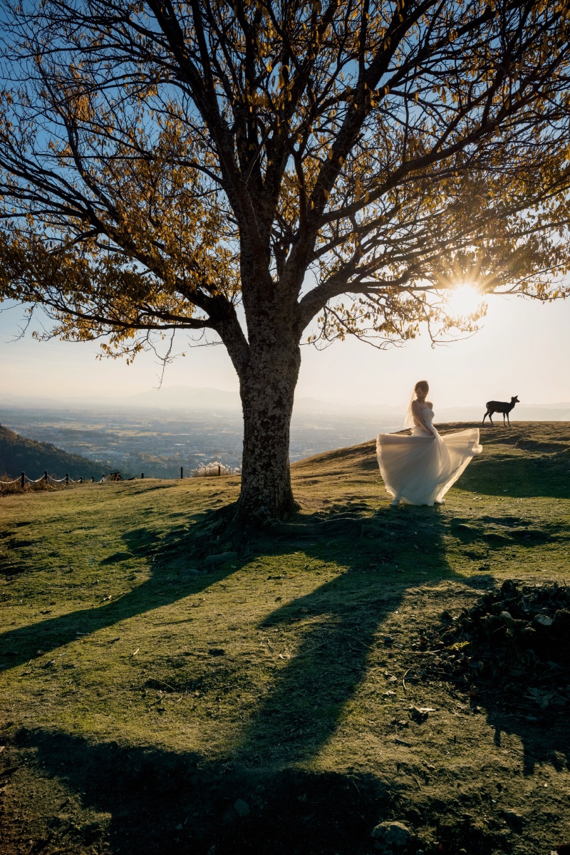 幸福时刻～独自美丽