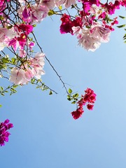 AA37B3E0-A2A8-4117-AB4B-AF6F869A1465/L0/001