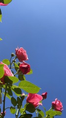 D6F3F19C-EC55-4AD4-ACDF-243FF2CCF67B/L0/001