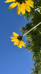 6AB5DC8E-C090-40F4-842F-3C7CE376D998/L0/001