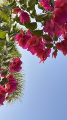7F98523C-424F-43C7-A3ED-6637CEEEA3CA/L0/001