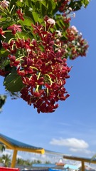 90327212-EE17-4D95-B765-6A7124550E7E/L0/001