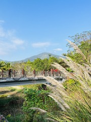 6C8BEC2D-C8BE-4D2D-AA03-0645F62455A2/L0/001