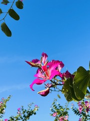 11A4AB4A-9DB9-4717-AB60-1976D8750E0E/L0/001