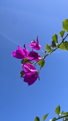 3FD4E27B-6446-43F1-80FF-2D46CD41AB46/L0/001