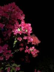 3950EF91-910A-4AAF-8C38-810FF5871F82/L0/001