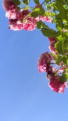7657916A-596A-4040-89CE-CCFD2FD04B1D/L0/001