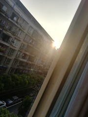 1390229