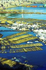 _IGP8742.jpg