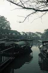 IMGP1608.jpg