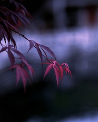 408080